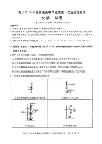 2026届广西南宁市高三上学期一模考试化学试题（含答案）