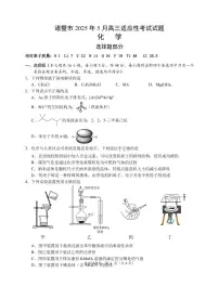 浙江省诸暨市2025年5月高三下学期适应性考试化学试卷（含答案）