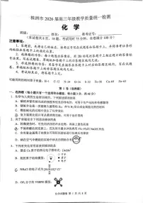 2026届湖南省株洲市高三上学期教学质量统一检测（一模）化学试卷（含答案）