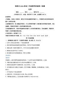 湖南省株洲市2025-2026学年高三上学期一模化学试卷（Word版附解析）