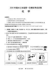河南省濮阳市2026届高三上学期第一次模拟考试化学试题（高考模拟）