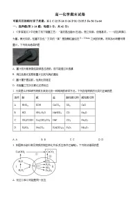 安徽蚌埠市2025-2026学年高一上学期期末考试 化学试卷（试卷+解析）