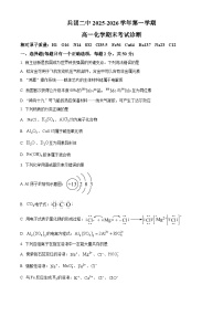 新疆兵团二中2025-2026学年第一学期高一期末化学试卷（试卷+解析）
