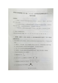 西南名校联盟2025届高三上学期“3+3+3”高考备考诊断性联考（一）化学试题 含答案
