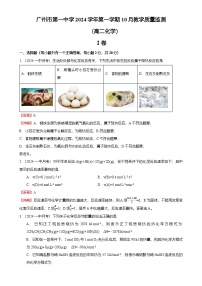 2024-2025广州市荔湾区第一中学高二上学期10月月考化学试卷（解析版）-A4