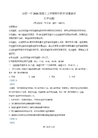 安徽省合肥市第一中学2026届高三上学期期中考试化学试卷（Word版附解析）