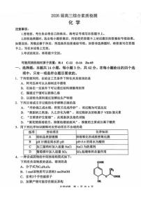 2025-2026学年安徽江南十校高三下学期开学化学试题（含答案）