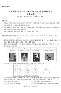 广东省深圳外国语学校高一上学期期末考试化学试题