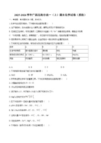2025-2026学年广西北海市高一（上）期末化学试卷（质检）-自定义类型