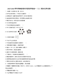 2025-2026学年河南省郑州外国语学校高一（上）期末化学试卷-自定义类型