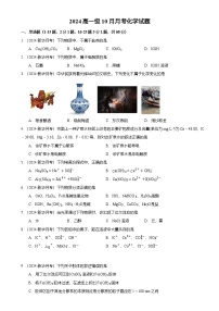 广州市花都区新华中学高一上学期10月月考化学试卷（题目版）-A4