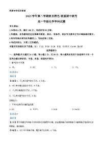 浙江省浙里特色联盟2023-2024学年高一下学期4月期中考试化学试题 含解析