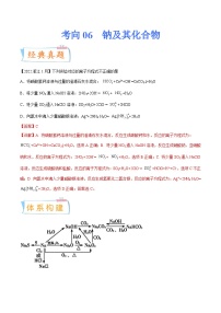 高考化学一轮复习考点巩固练习考向06 钠及其化合物（含答案解析）