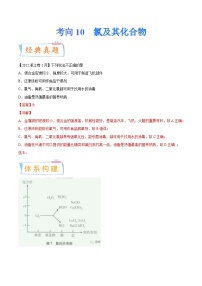 高考化学一轮复习考点巩固练习考向10 氯及其化合物（含答案解析）