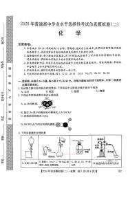 2026年普通高中学业水平选择性高考模拟仿真二卷化学试题及答案