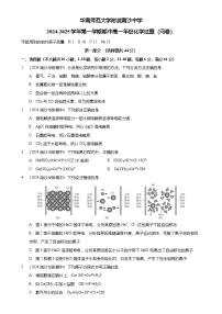 2024-2025广州市南沙区华南师范大学附属南沙学校高一上学期期中化学试卷（题目版）-A4