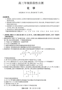 2026届福建百校高三下学期阶段性自测化学试卷（含答案）