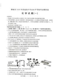 2026届山东聊城高考一模化学试题+答案