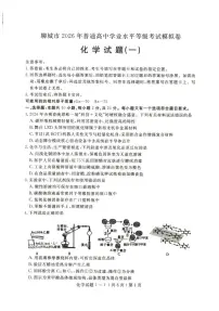 2026届山东聊城高考一模化学试题+答案