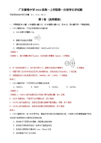 2024-2025广州市番禺区番禺中学高一上学期10月月考化学试卷（解析版）-A4