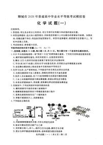 2026届山东聊城市下学期高三一模 化学试题及答案