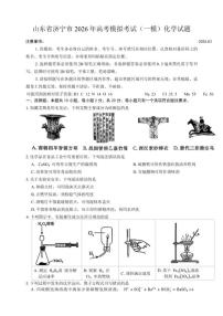 2025-2026学年山东省济宁市高考模拟考试（一模）化学试题（含答案）