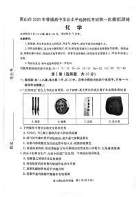 2026届河北省唐山市下学期高三一模 化学 试题（含答案）