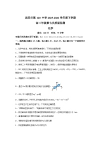 辽宁沈阳市第一二0中学2025-2026学年下学期高三质量检测化学试题含答案