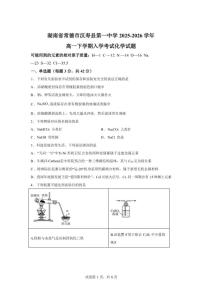 2025-2026学年湖南常德市汉寿县第一中学高一下学期开学化学试题（含答案）