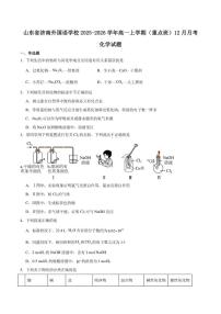 2025-2026学年山东省济南市外国语学校高一上学期12月检测化学（含答案）试卷 (1)