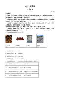 2025-2026学年山东泰安市高三上学期一模考试化学（无答案）试卷