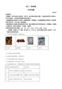 2025-2026学年山东泰安市高三上学期一模考试化学（无答案）试卷