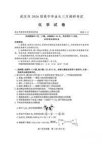 湖北省武汉市2026届高三下学期三月调研考试化学试卷（PDF版附答案）