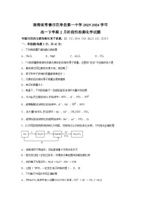 湖南常德市汉寿县第一中学2025-2026学年高一下学期2月阶段性检测化学试题含答案