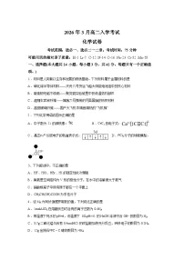 湖南邵阳市第二中学2026年3月高二下学期入学考试化学试卷含答案