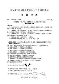 湖北省武汉市2025-2026学年下学期年高三3月月考化学试卷含答案