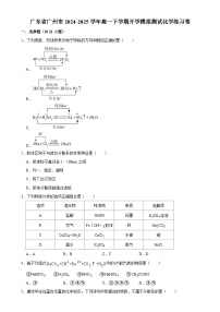 广东省广州市高一下学期开学适应性模拟测试化学练习卷-A4