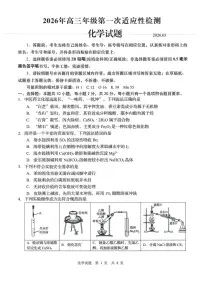 2026届山东青岛市下学期高三一模适应性检测 化学试题+答案