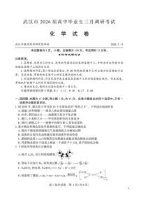 湖北省武汉市2026高三下学期3月调研考试化学试题 含答案