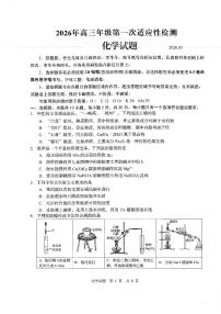 青岛市2026年高三年级下学期第一次适应性检测化学试卷（附参考答案）