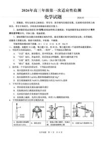 2026届山东青岛高考一模化学试题+答案