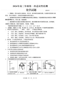 2026届山东青岛高考一模化学试题+答案