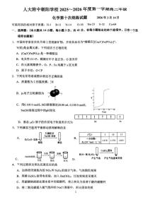 2025-2026年北京人大附中朝阳学校度第二学期高三下统练十化学试题
