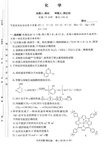 湖南省长沙市雅礼中学2024-2025学年高二上学期期末考试化学试题（含答案）