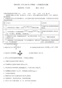 化学-湖南省邵阳市第二中学2025-2026学年高一下学期入学测试试卷及答案