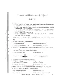 2026年九师联盟核心高考模拟卷中三化学试题及答案