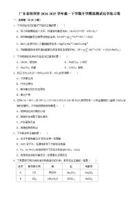 广东省深圳市高一下学期开学模拟测试化学练习卷-A4