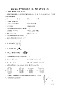 2025-2026学年重庆市高二（上）期末化学试卷（二）-自定义类型