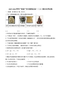 2025-2026学年广东省广州市番禺区高一（上）期末化学试卷-自定义类型