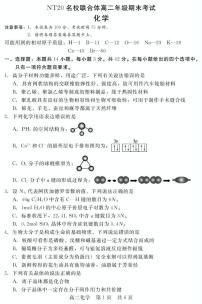 河北省NT20名校联合体2024-2025学年高二下学期期末考试化学试卷（含解析）